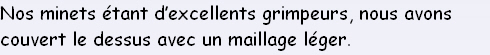 Nos minets étant d’excellents grimpeurs, nous avons couvert le dessus avec un maillage léger.