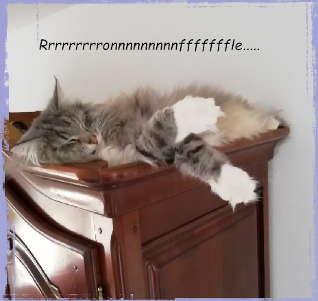 Rrrrrrrrronnnnnnnnnfffffffle.....