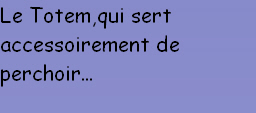 Le Totem,qui sert accessoirement de perchoir...